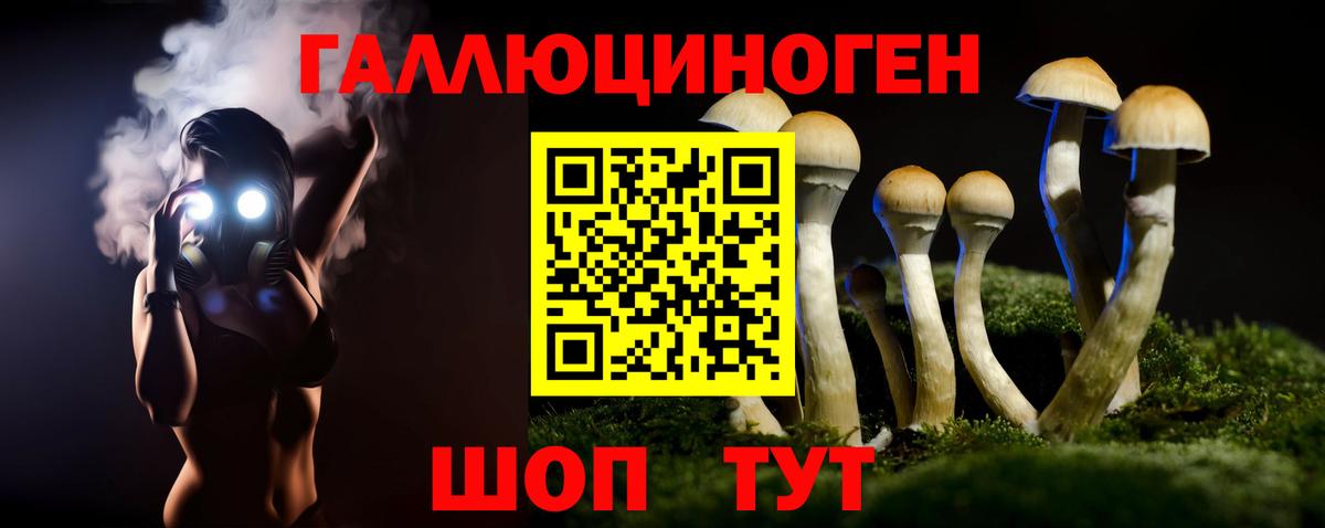 купить   Галлюциногенные грибы прущие грибы  Кемерово  Вход с VPN  Псилоцибиновые грибы Psilocybine cubensis 